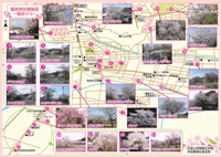 桜めぐり地図