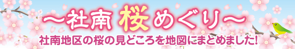 社南桜めぐりみどころ地図