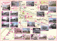 桜めぐり地図